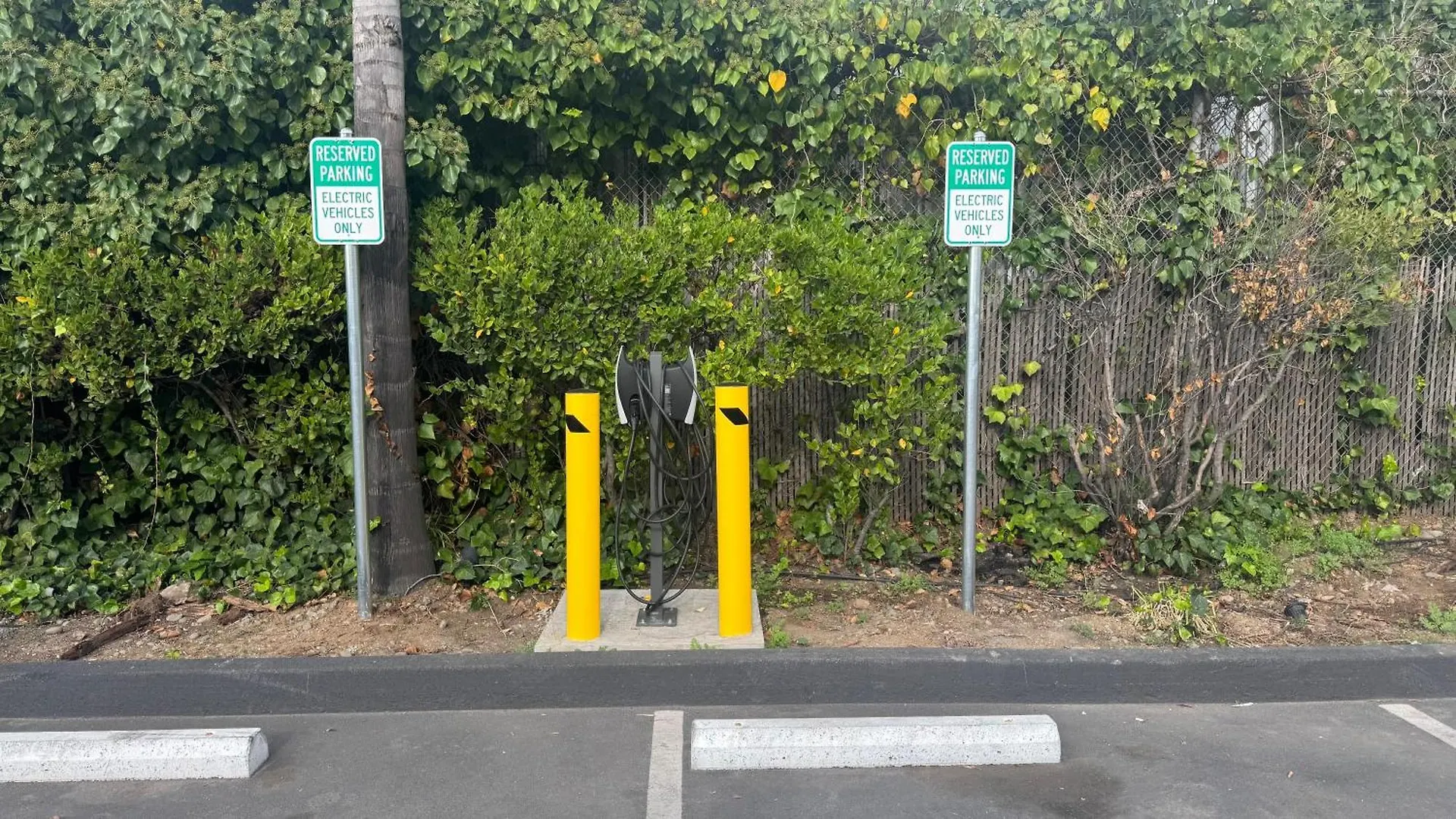 Staying Near Oakland Zoo: 4 Budget Hotels Compared