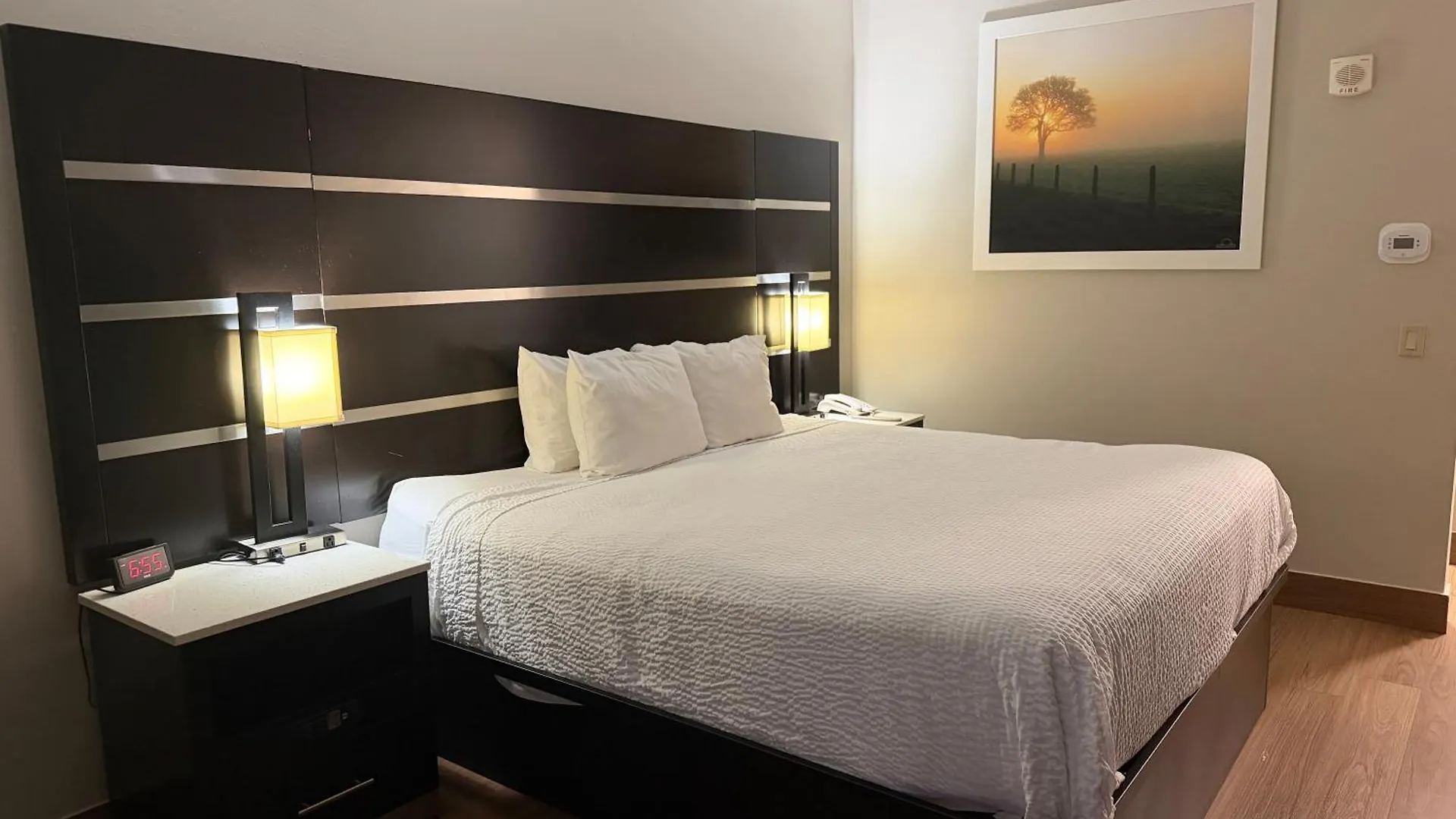 4 Smart Leisure Hotels In New Jersey Worth Booking