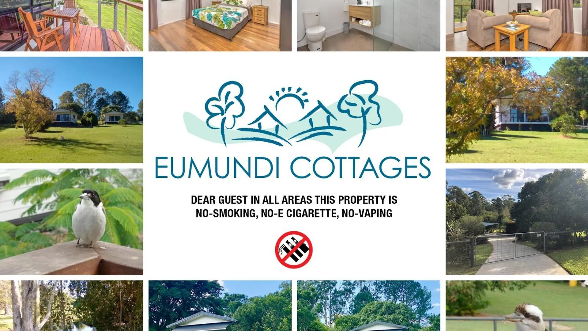 Staying in Queensland: 11 Apartments & B&Bs Compared