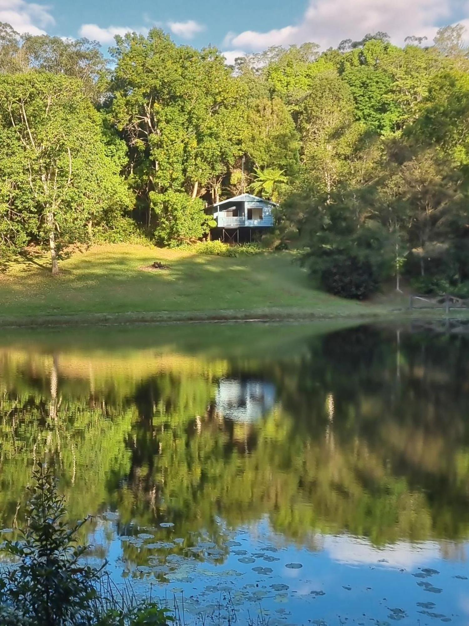 6 Top 4-Star Hotels Near Kondalilla Falls With Easy Hinterland Access