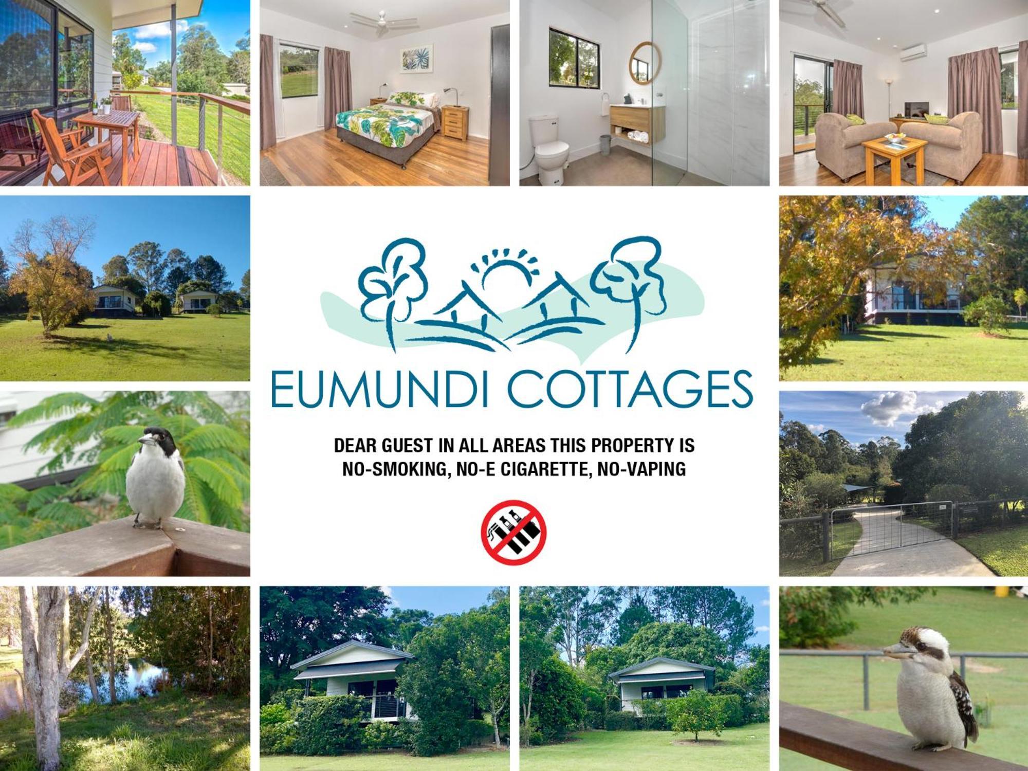 Staying in Queensland: 11 Apartments & B&Bs Compared